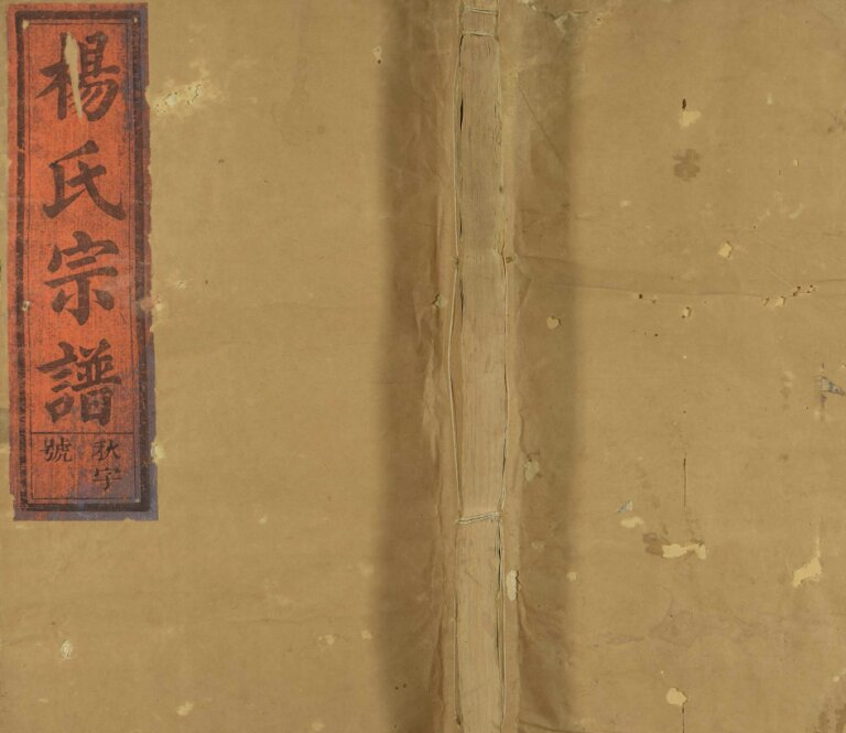 宏农杨氏宗谱[13卷及卷首末]民国6[1917]福建安溪 江西省上饶县玉山县杨氏电子版家谱下载