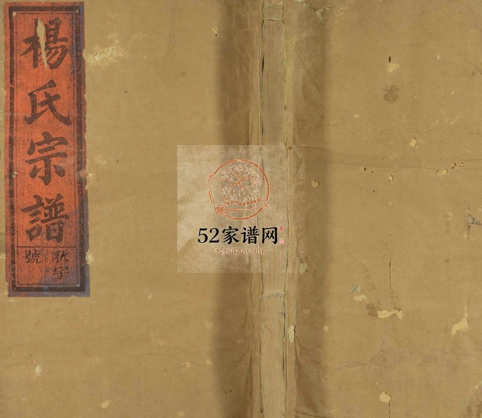 宏农杨氏宗谱[13卷及卷首末]民国6[1917]福建安溪 江西省上饶县玉山县杨氏电子版家谱下载