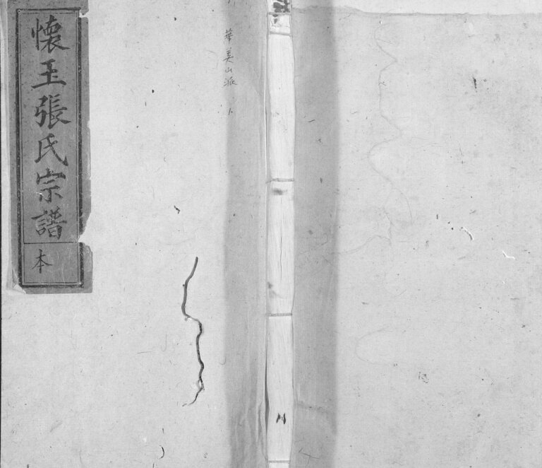 怀玉张氏宗谱[各派分卷,首末各1卷]民国8年江西玉山县张氏电子版家谱下载