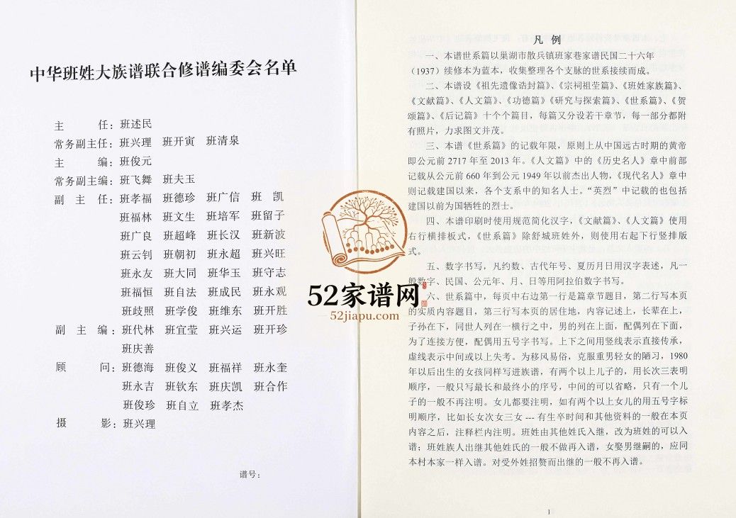 中华班姓大族谱2014年安徽巢湖 山东省微山电子版家谱下载