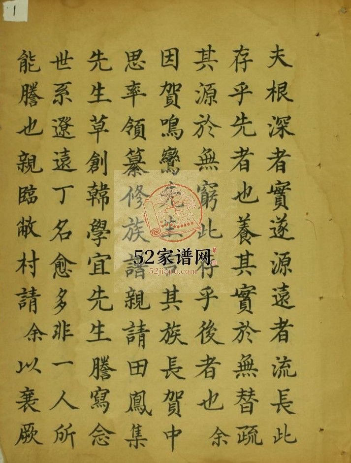 贺氏族谱清光绪5年修 山东济宁嘉祥贺氏电子版家谱下载