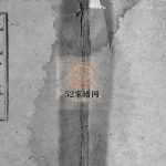 汪氏宗谱[40卷,首8卷]民国34[1945]湖北麻城 安徽省六安市电子版家谱下载