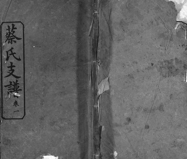 蔡氏支谱[11卷,首3卷]民国10[1921]湖北黄冈麻城市蔡氏电子版家谱下载