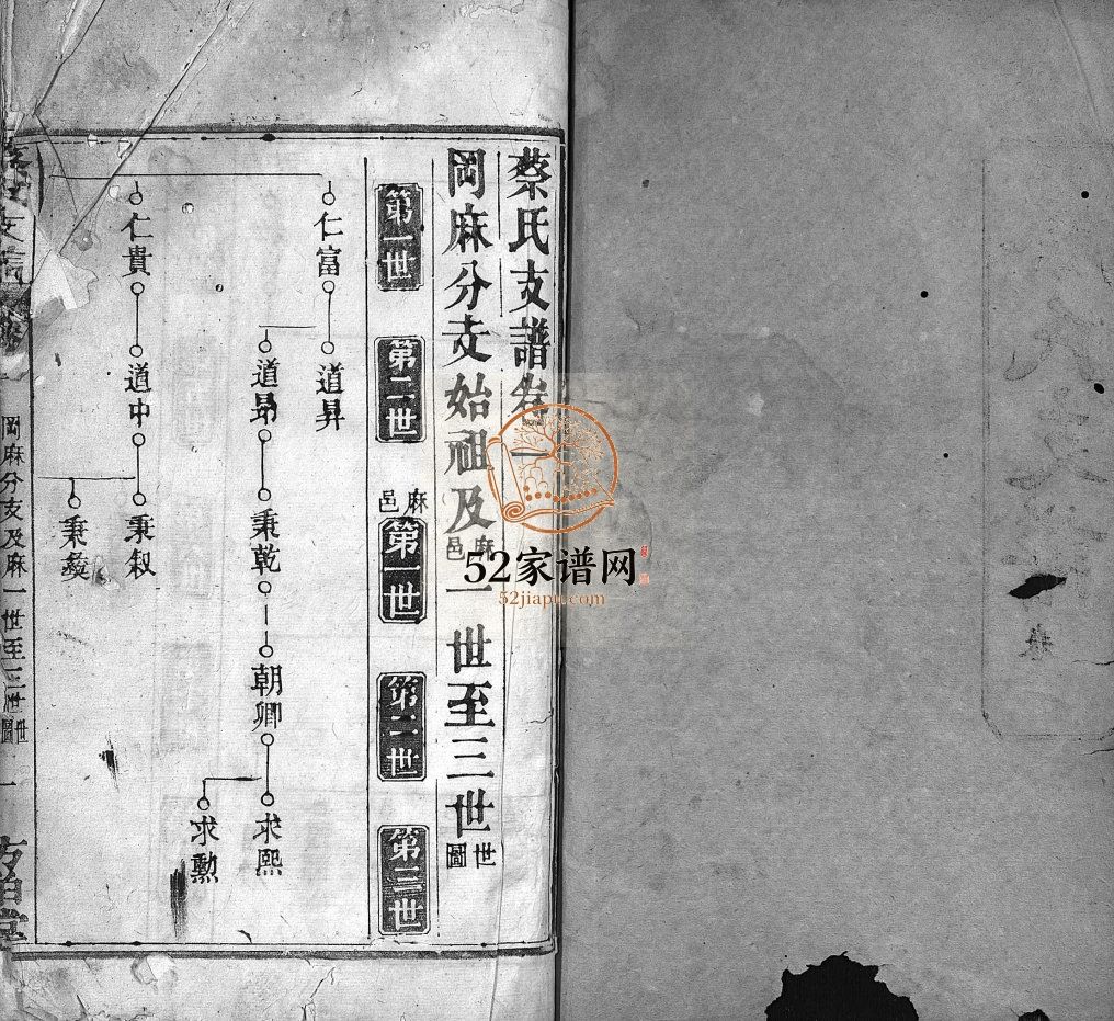 蔡氏支谱[11卷,首3卷]民国10[1921]湖北黄冈麻城市蔡氏电子版家谱下载