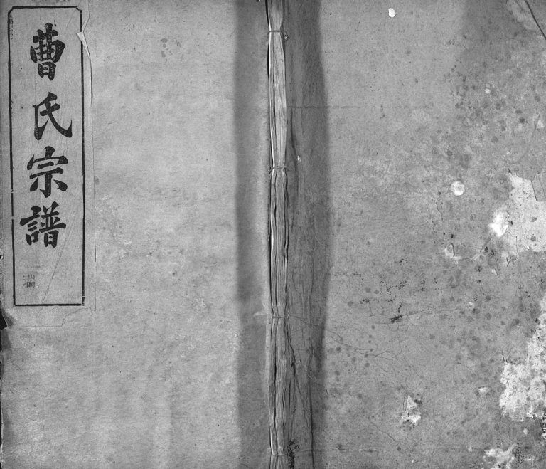 曹氏宗谱[10卷]民国34[1945]庐江市  黄冈麻城市曹氏电子版家谱下载