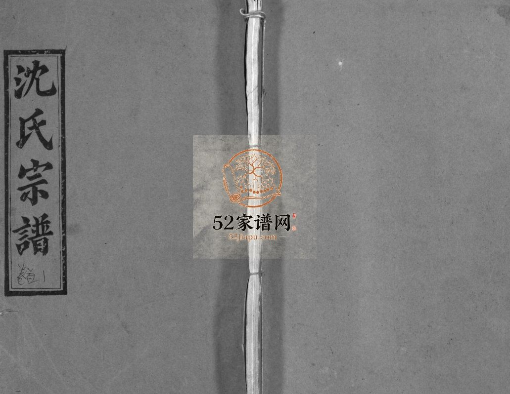 沈氏宗谱[43卷,首1卷]1990年湖北黄冈 麻城市 红安县沈氏电子版家谱下载