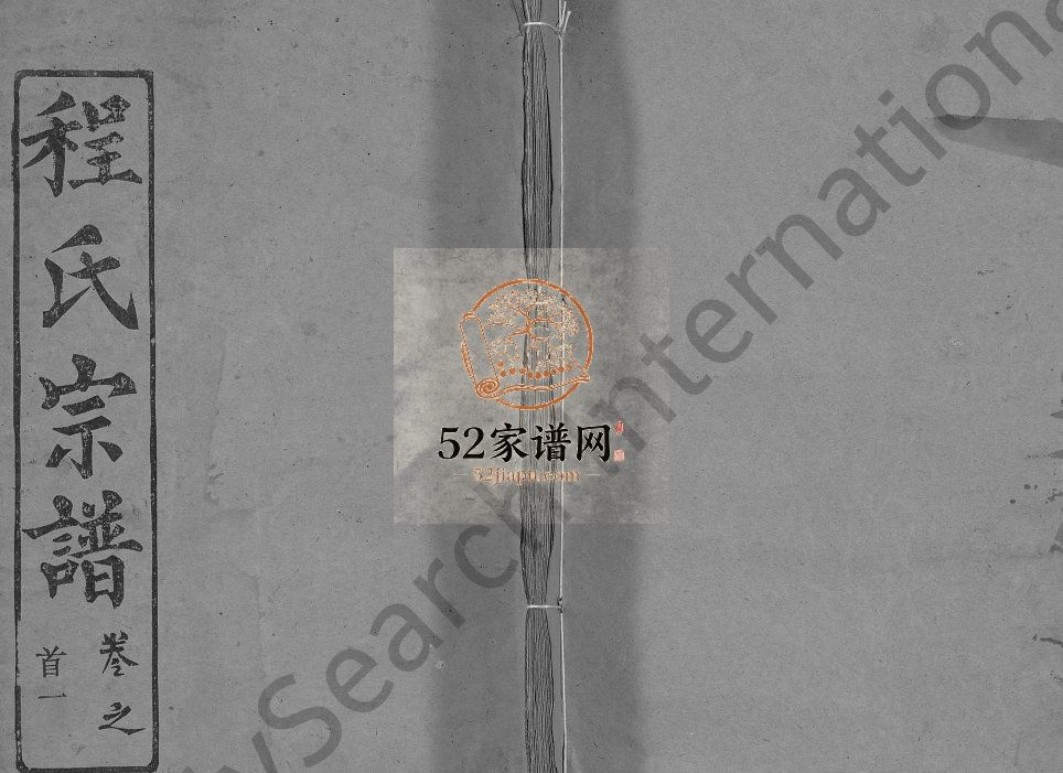 程氏宗谱[49卷,首3卷]1991年 湖北黄冈麻城市守先堂程氏电子版家谱下载