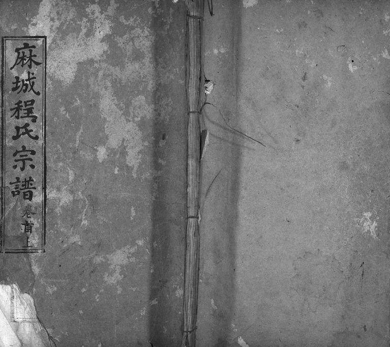 麻城程氏宗谱[20卷,首2卷]1917修 湖北黄冈麻城市继箴堂程氏电子版家谱下载