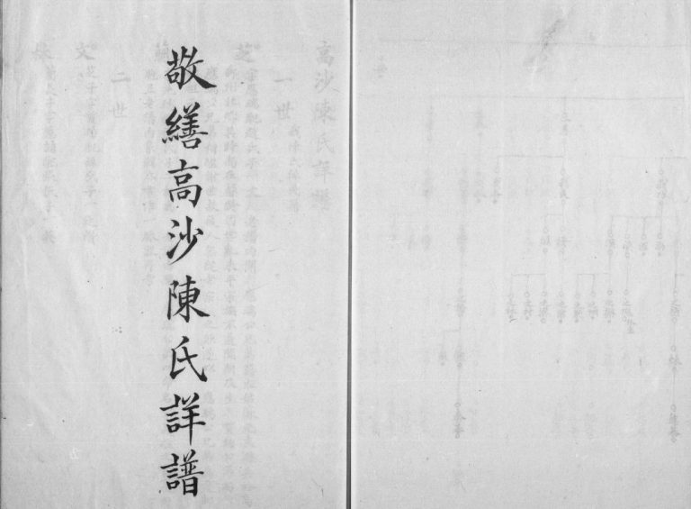 高沙陈氏宗谱1893年 江苏扬州高邮 宝应县陈氏电子版家谱下载