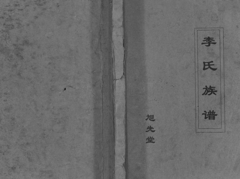李氏族谱2003修 江苏扬州高邮市旭先堂李氏电子版家谱下载