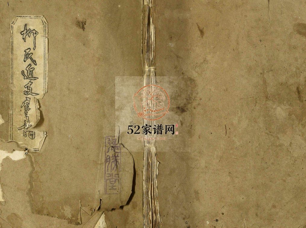柳氏近支家谱1993修 江苏扬州高邮市德胜堂柳氏电子版家谱下载