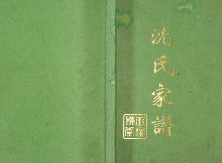 沈氏家谱2006修 江苏扬州高邮市八咏楼堂沈氏电子版家谱下载