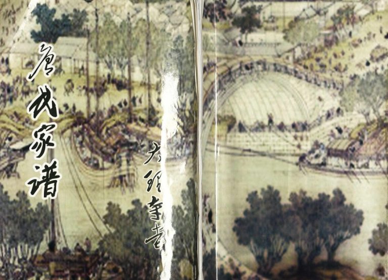 唐氏家谱2011修 江苏扬州高邮市大理寺堂唐氏电子版家谱下载