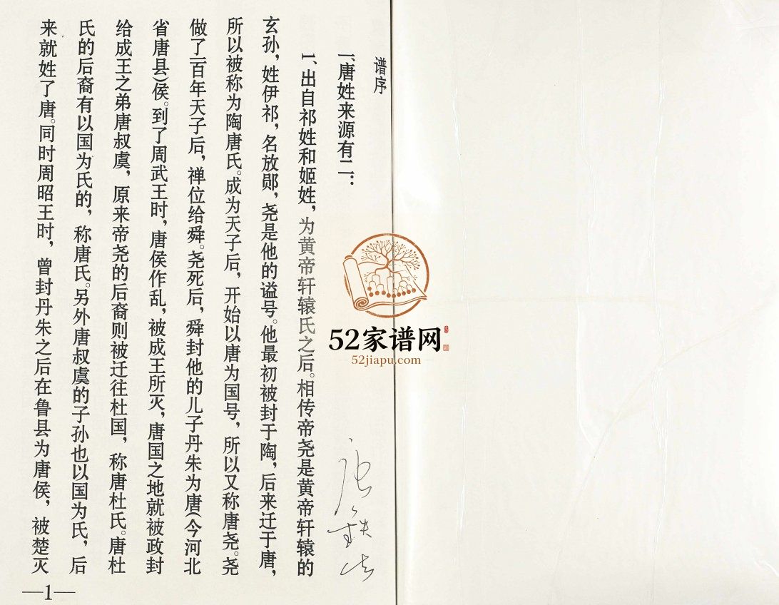 唐氏家谱2011修 江苏扬州高邮市大理寺堂唐氏电子版家谱下载