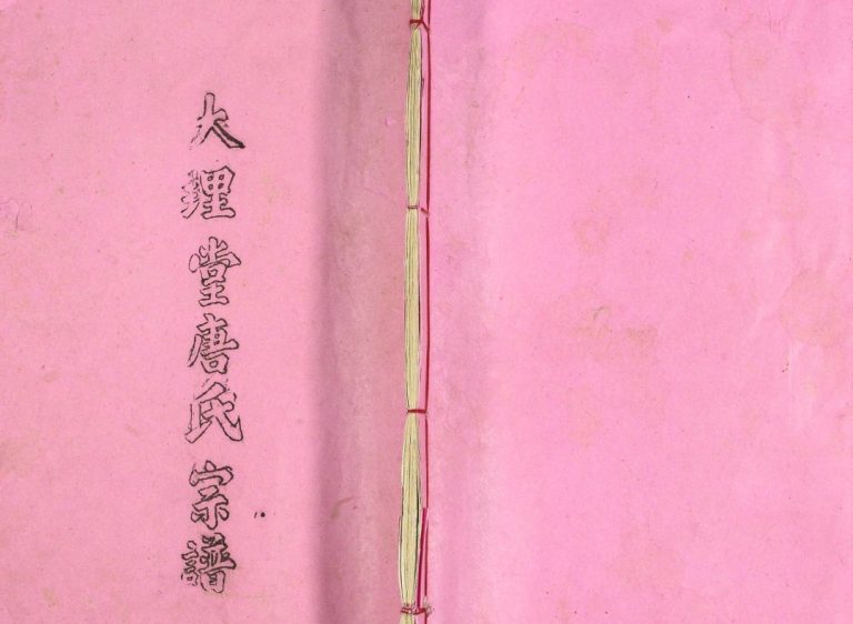 大理堂唐氏宗谱1987修 江苏扬州高邮市唐氏电子版家谱下载