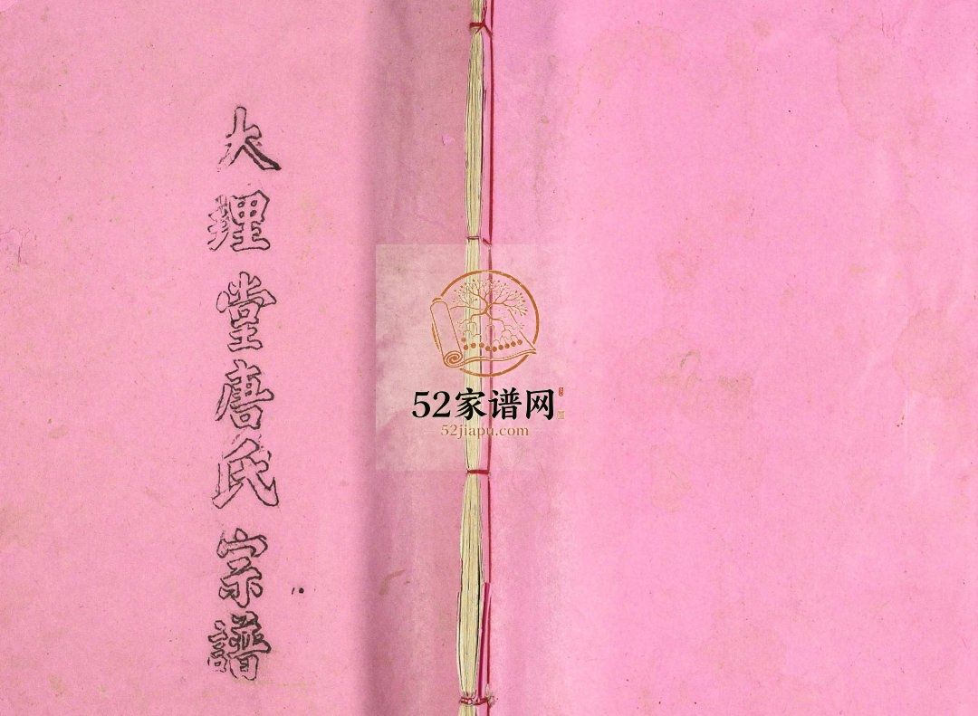 大理堂唐氏宗谱1987修 江苏扬州高邮市唐氏电子版家谱下载