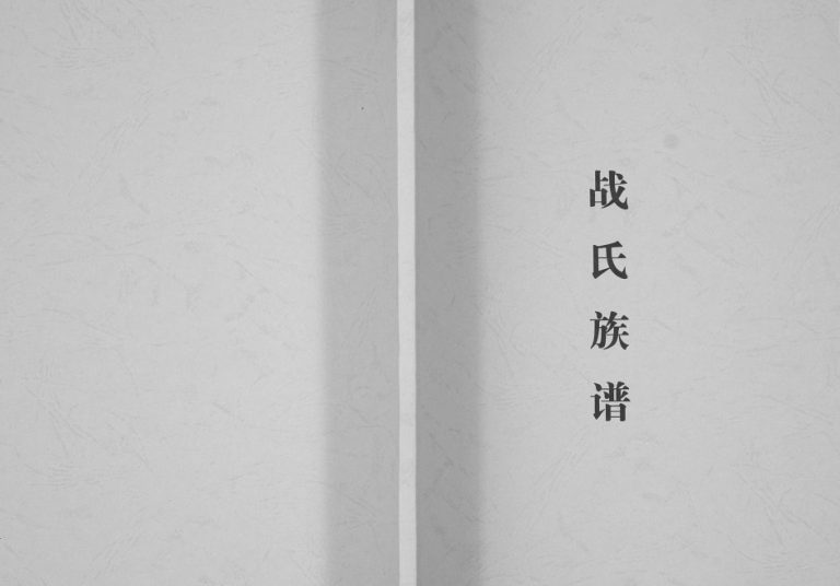 战氏族谱[不分卷]2009山东烟台莱阳市战家沟战氏电子版家谱下载