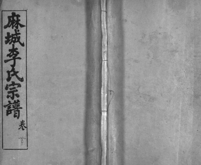 麻城李氏宗谱[10卷,首1卷]1930年修 湖北黄冈麻城市青莲堂李氏电子版家谱下载