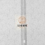 西魏家林氏宗谱[不分卷]1881年山东烟台莱阳市电子版家谱下载