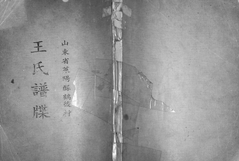 王氏族谱1994王濂(纂修)山东莱阳王氏电子版家谱下载