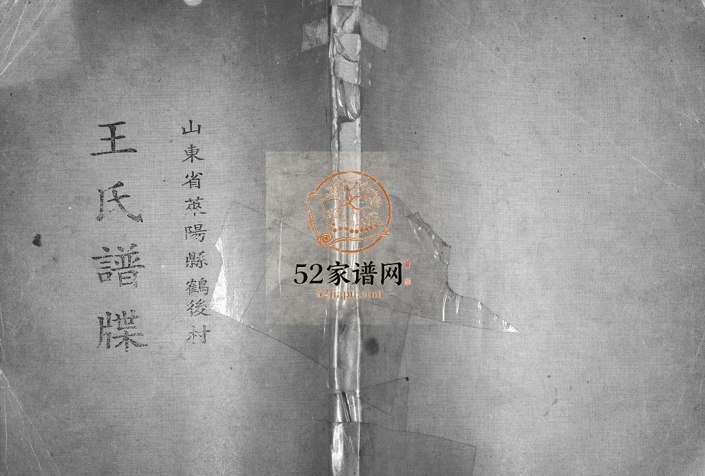 王氏族谱1994王濂(纂修)山东莱阳王氏电子版家谱下载