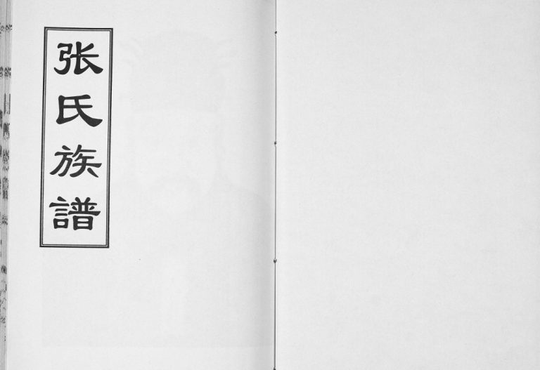 张氏族谱[2卷]2011年修 巨野县 沛县 微山县张氏电子版家谱下载