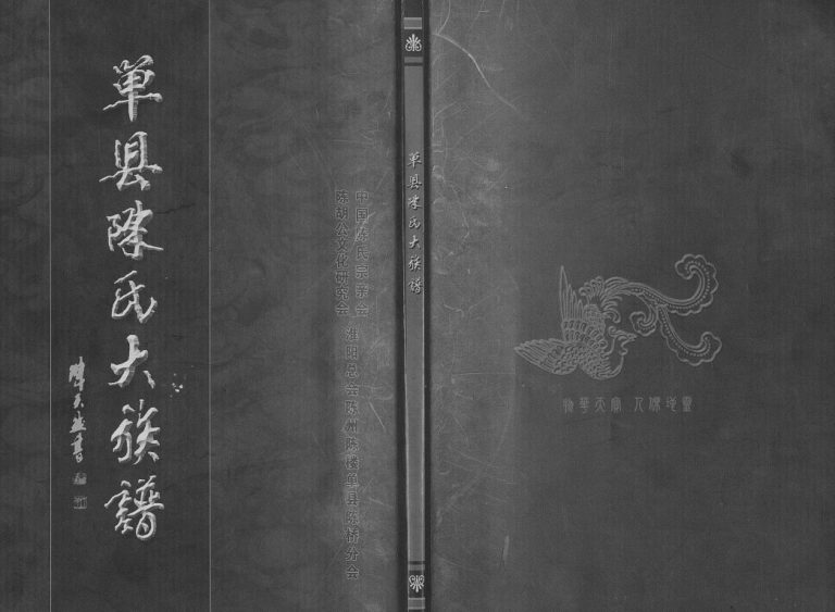 单县陈氏大族谱2004年修 单县陈桥族支谱电子版家谱下载