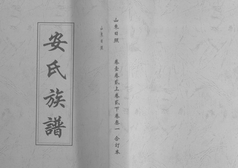 山东日照安氏族谱[5卷]民国19[1930]日照市安氏电子版家谱下载
