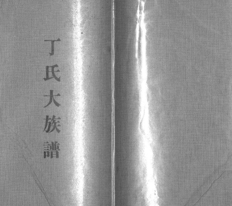 丁氏大族谱[不分卷]1980山东日照市丁氏电子版家谱下载