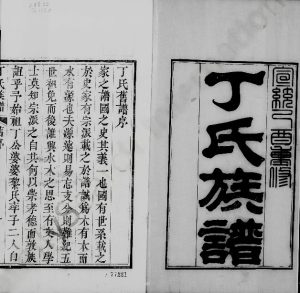 丁氏族谱清宣统1[1909]山东日照 诸城 龙口丁氏电子版家谱下载