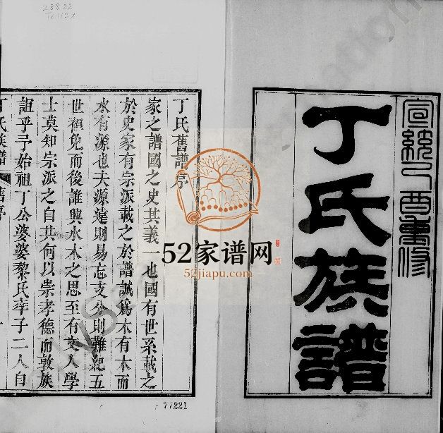 丁氏族谱清宣统1[1909]山东日照 诸城 龙口丁氏电子版家谱下载