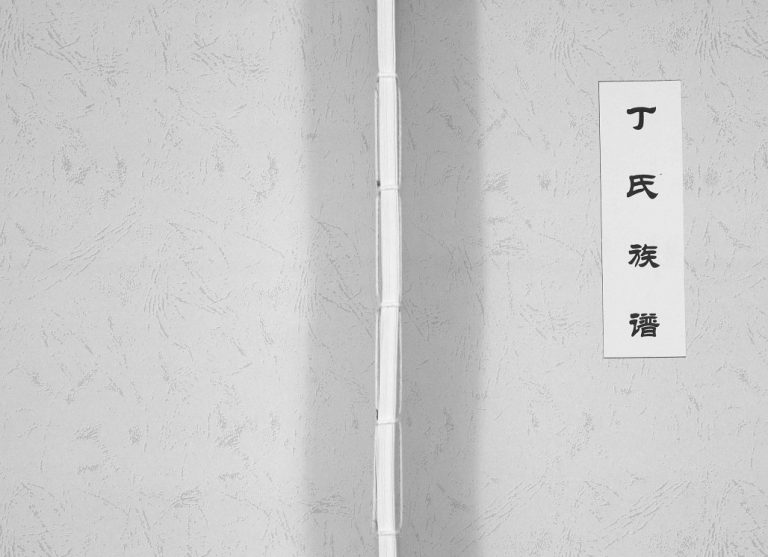 丁氏族谱[不分卷]2008山东日照市丁氏电子版家谱下载