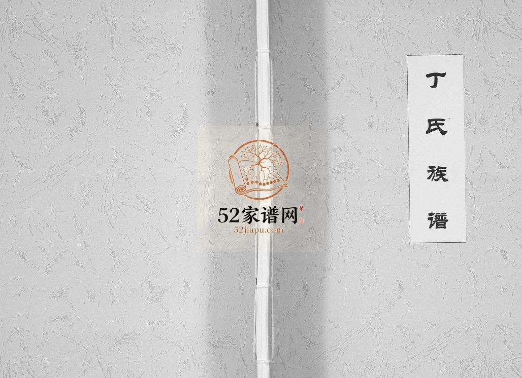 丁氏族谱[不分卷]2008山东日照市丁氏电子版家谱下载
