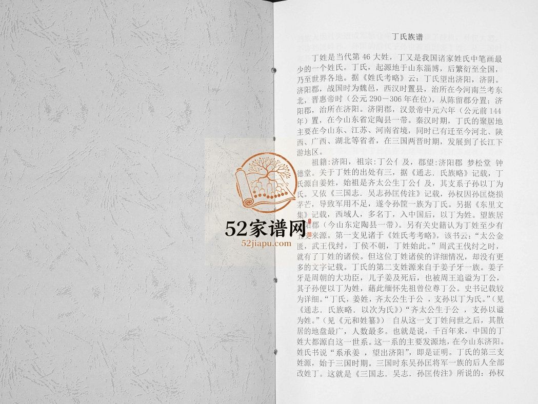 丁氏族谱[不分卷]2008山东日照市丁氏电子版家谱下载