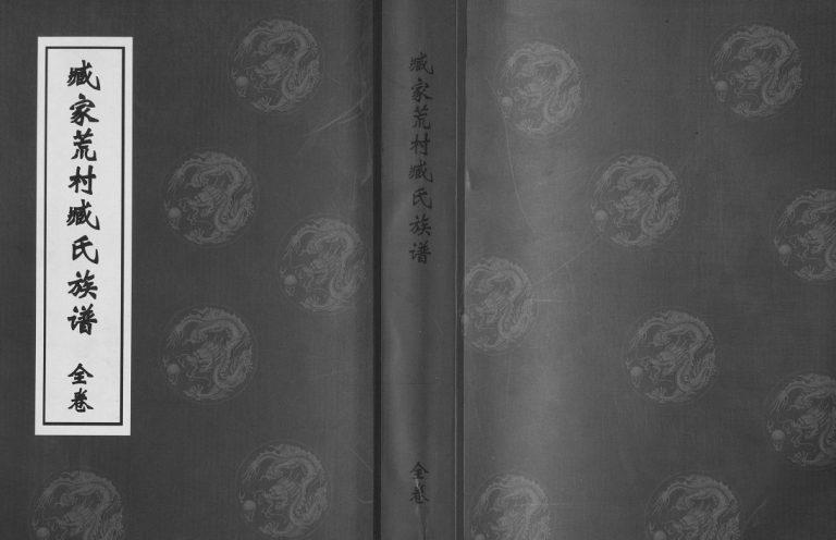 山东省日照市臧家荒村臧氏族谱[1卷]2012年修 山东日照臧氏电子版家谱下载