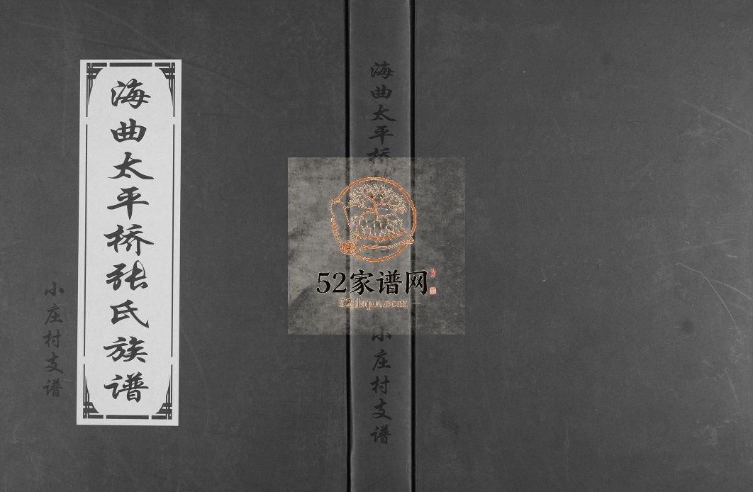 海曲太平桥张氏族谱小庄村支谱2011八修 山东日照张氏电子版家谱下载