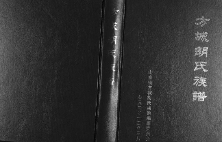 方城胡氏族谱[二卷]2013年修 山东临沂兰山方城镇胡氏电子版家谱下载