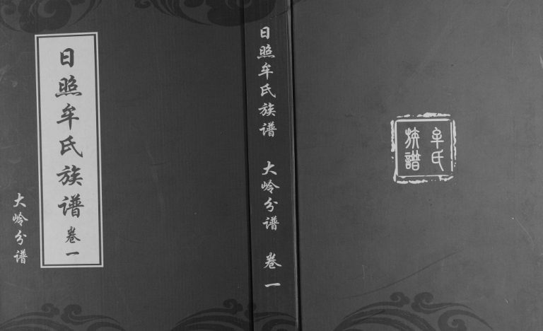 日照牟氏族谱大岭分谱[2卷]2011年六修 山东日照牟氏电子版家谱下载