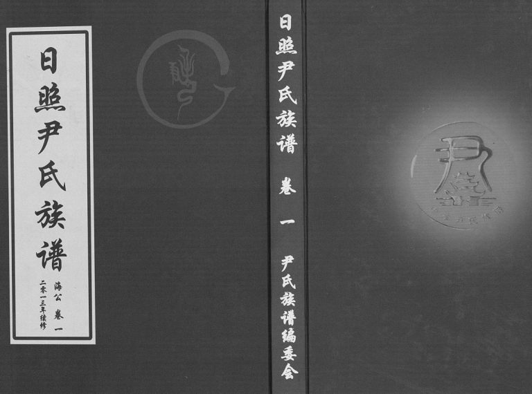 尹氏族谱[12卷]2013年第七次续修 日照莒县 莒南 黄岛尹氏电子版家谱下载