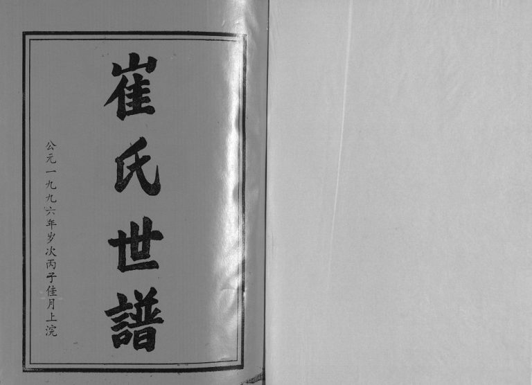 崔氏世谱[12卷]1996年修 山东淄博桓台县崔氏电子版家谱下载