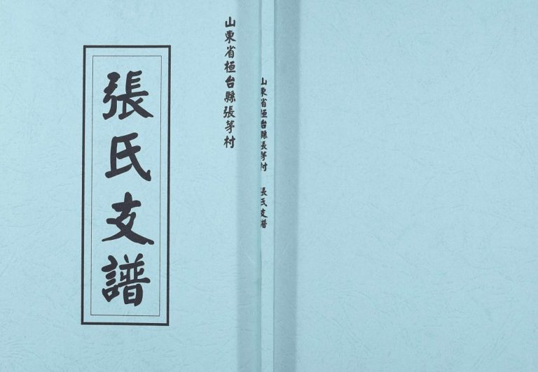 山东省桓台县张茅村张氏支谱[不分卷]1992续修 山东淄博桓台张氏电子版家谱下载