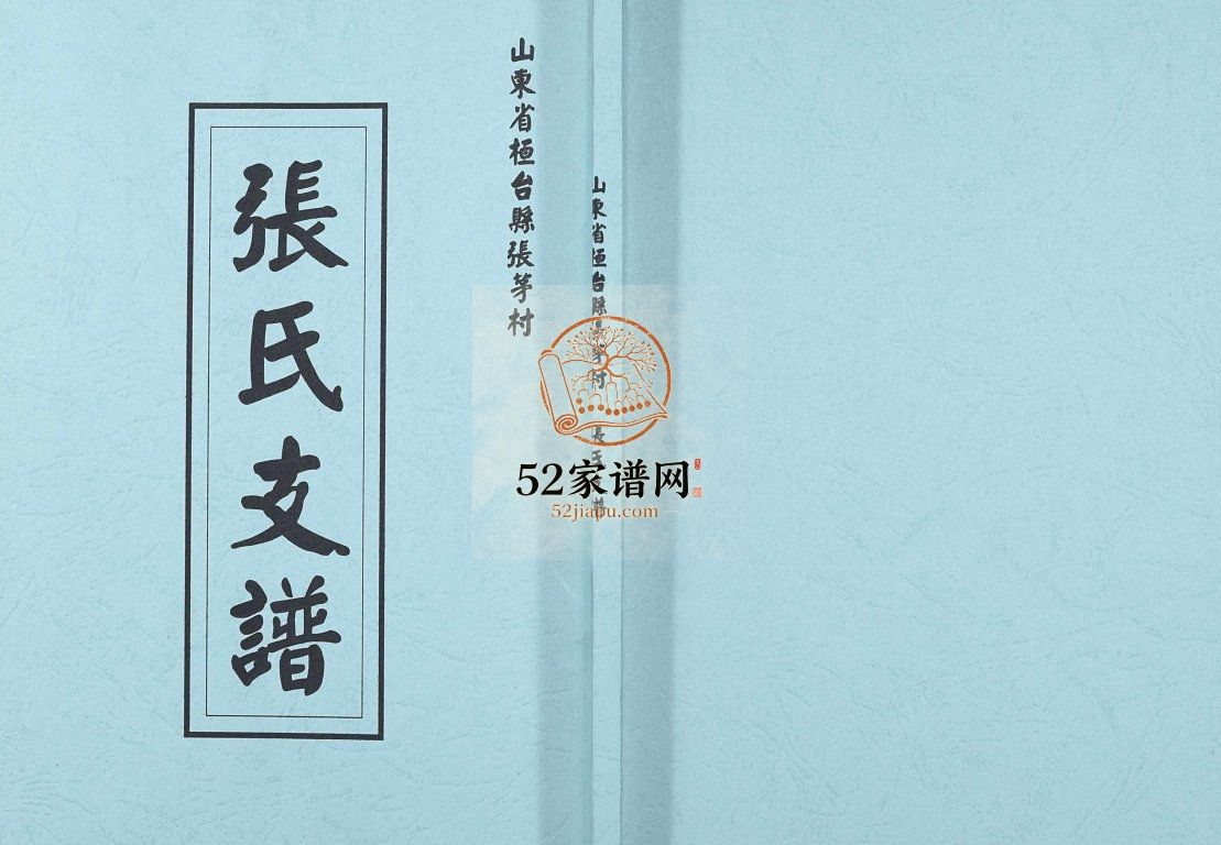 山东省桓台县张茅村张氏支谱[不分卷]1992续修 山东淄博桓台张氏电子版家谱下载