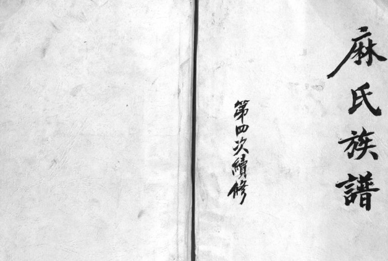 麻氏族谱[3卷]1996年四修 桓台县 临淄区 邹平市麻氏电子版家谱下载
