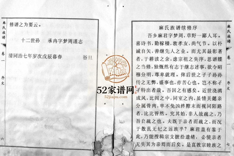 麻氏族谱[3卷]1996年四修 桓台县 临淄区 邹平市麻氏电子版家谱下载