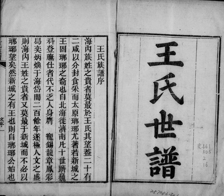 王氏世谱[35卷]1915年修 山东淄博桓台王氏电子版家谱下载