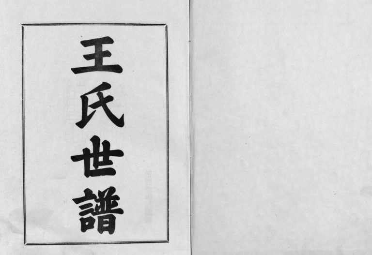 新城王氏世谱1994年修 山东淄博桓台带经堂王氏世谱电子版家谱下载