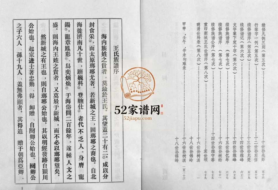 新城王氏世谱1994年修 山东淄博桓台带经堂王氏世谱电子版家谱下载
