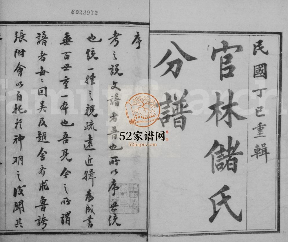官林储氏分谱[12卷]1917年修 江苏宜兴存着堂储氏电子版家谱下载