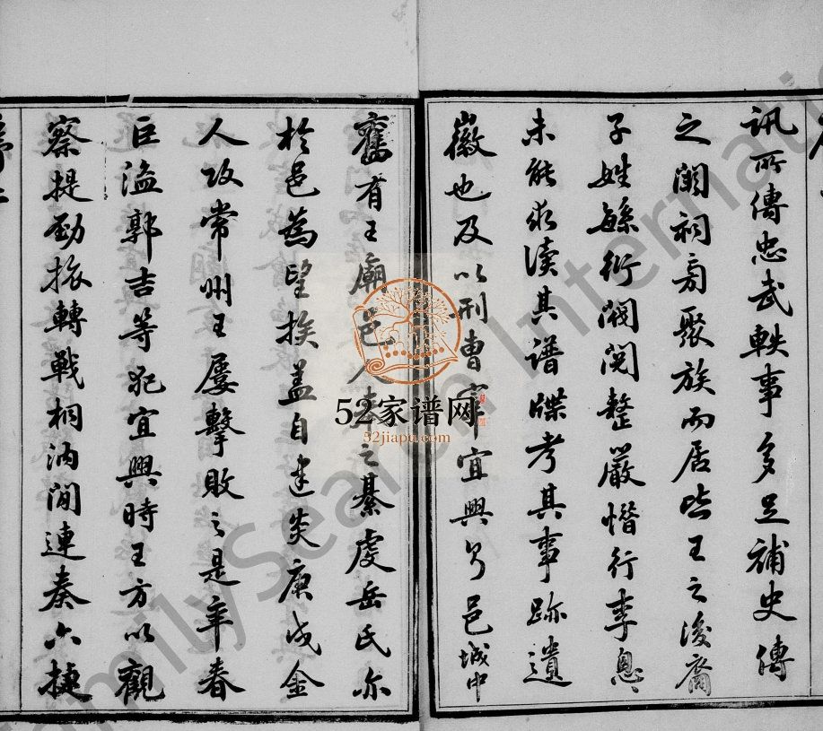 唐门岳氏宗谱[24卷,首1卷]1896十修 宜兴市全伦堂 忠孝堂岳氏电子版家谱下载