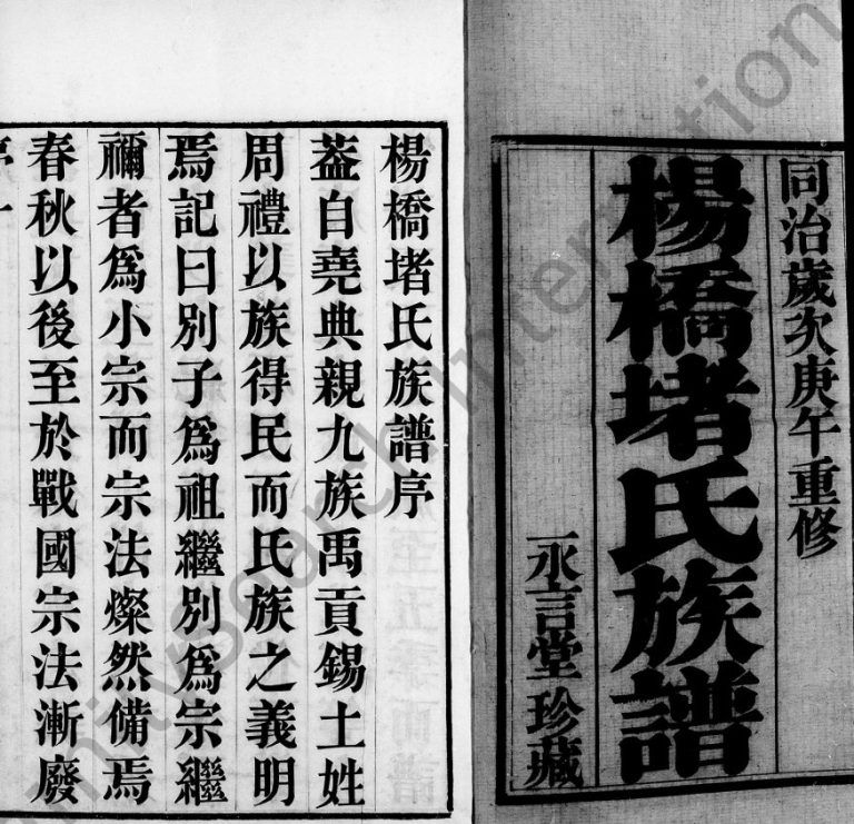 杨桥堵氏族谱[10卷]1870年修 江苏无锡宜兴市永言堂堵氏电子版家谱下载